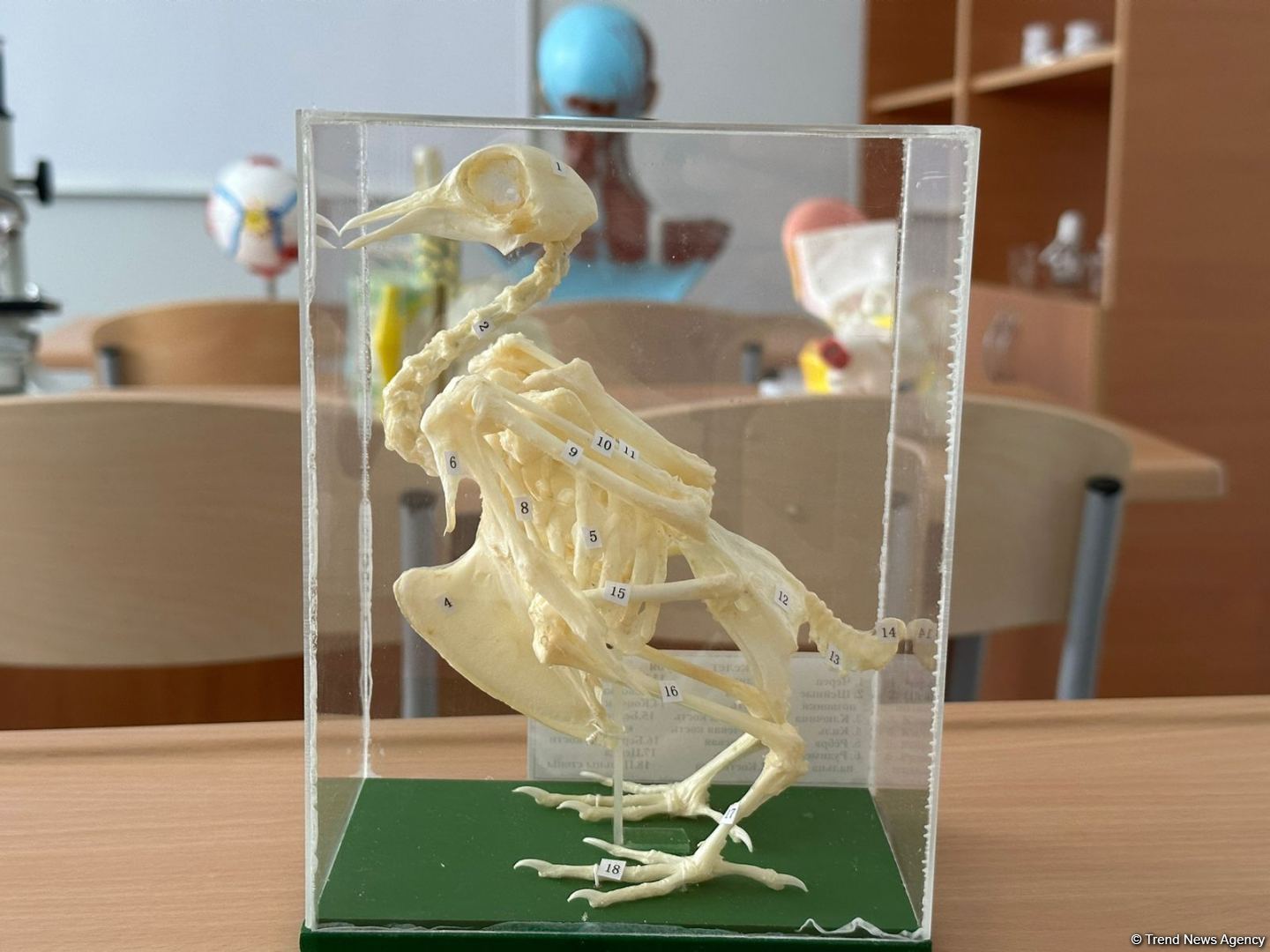 Вдоль водохранилища Суговушан строятся туристические объекты (ФОТО)