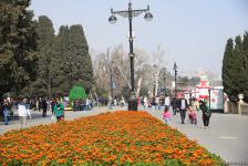 Жители Баку отмечают праздник Новруз - Фоторепортаж