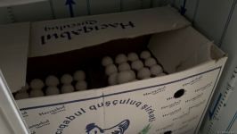 Что происходит в Бакинском детском доме № 3 - заведующая детдомом о ситуации в учреждении (ФОТО/ВИДЕО)