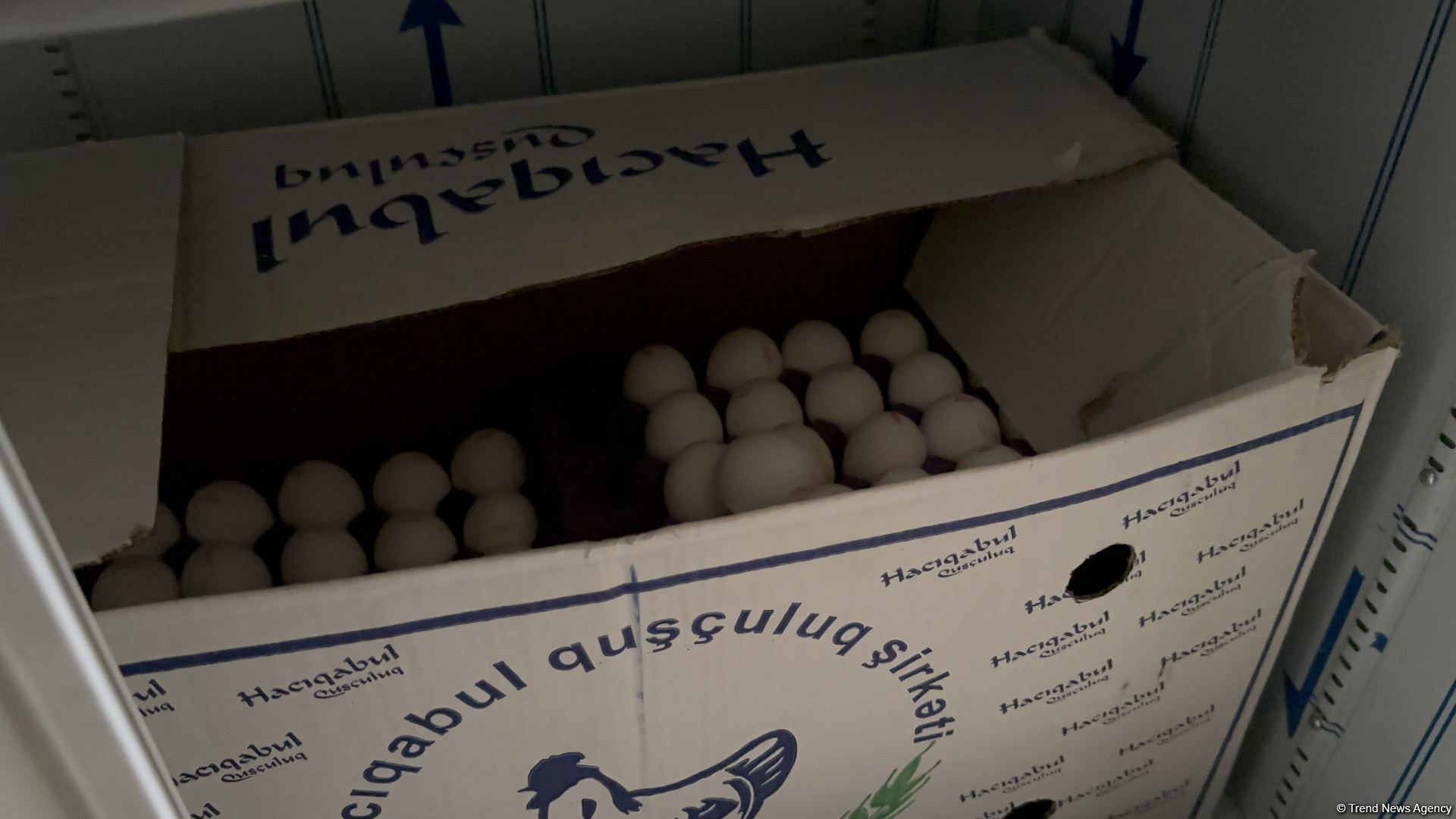 Что происходит в Бакинском детском доме № 3 - заведующая детдомом о ситуации в учреждении (ФОТО/ВИДЕО)