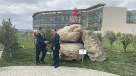 Установлена памятная композиция по случаю побратимства между Бакинским портом и китайским портом Циндао (ФОТО)