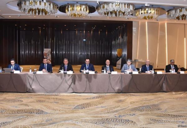 Будут расширены исследования по выращиванию засухоустойчивых растений - Меджнун Мамедов