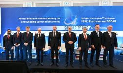 Президенты Азербайджана и Болгарии приняли участие в церемонии подписания Меморандума о взаимопонимании (ФОТО/ВИДЕО)