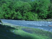 Участники "Евровидения-2023" TuralTuranX рассказали о родном городе Загатала (ФОТО)