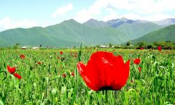 Участники "Евровидения-2023" TuralTuranX рассказали о родном городе Загатала (ФОТО)