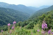 Участники "Евровидения-2023" TuralTuranX рассказали о родном городе Загатала (ФОТО)