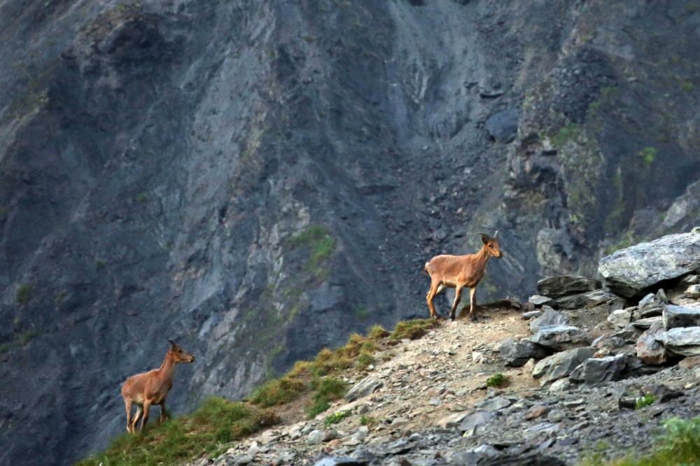 Участники "Евровидения-2023" TuralTuranX рассказали о родном городе Загатала (ФОТО)