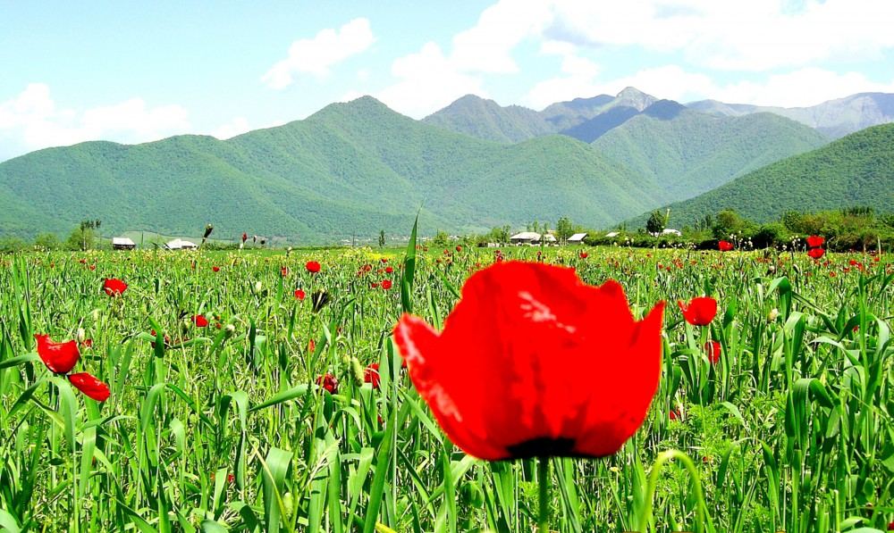 Участники "Евровидения-2023" TuralTuranX рассказали о родном городе Загатала (ФОТО)