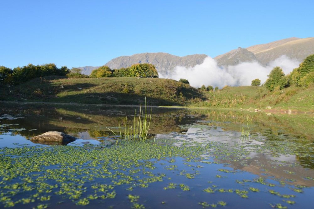 Участники "Евровидения-2023" TuralTuranX рассказали о родном городе Загатала (ФОТО)