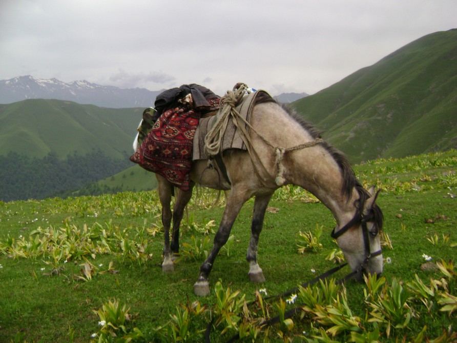 Участники "Евровидения-2023" TuralTuranX рассказали о родном городе Загатала (ФОТО)