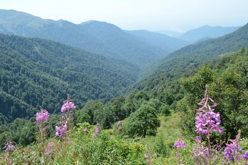 Участники "Евровидения-2023" TuralTuranX рассказали о родном городе Загатала (ФОТО)