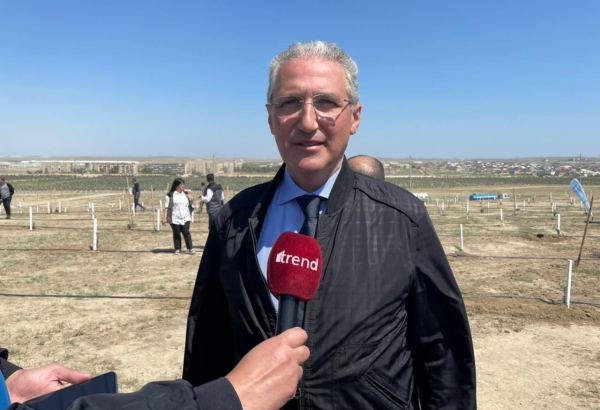 Сегодня с участием журналистов посажены три тысячи деревьев - Мухтар Бабаев