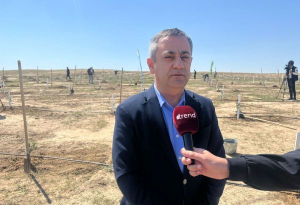 Горд участием в акции по посадке деревьев, посвященной 100-летию общенационального лидера Гейдара Алиева - Сахиль Керимли