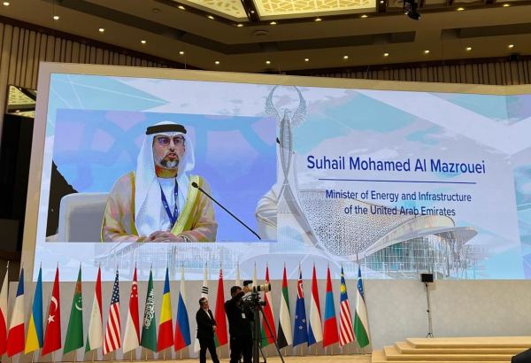 Центральная Азия - один из самых богатых ВИЭ регионов в мире - министр