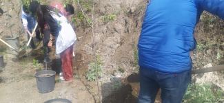 Экоактивисты посадили деревья на месте временно приостановленной акции на дороге Лачин-Ханкенди (ФОТО)