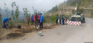 Экоактивисты посадили деревья на месте временно приостановленной акции на дороге Лачин-Ханкенди (ФОТО)