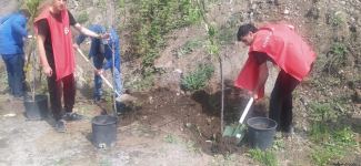 Экоактивисты посадили деревья на месте временно приостановленной акции на дороге Лачин-Ханкенди (ФОТО)