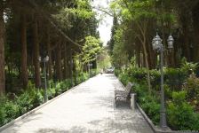 Незаконно построенные на территории Центрального ботанического сада в Баку рестораны и авторемонтные мастерские снесены (ФОТО)