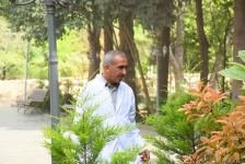 Незаконно построенные на территории Центрального ботанического сада в Баку рестораны и авторемонтные мастерские снесены (ФОТО)