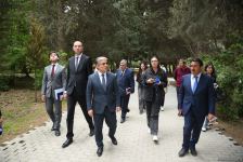 Незаконно построенные на территории Центрального ботанического сада в Баку рестораны и авторемонтные мастерские снесены (ФОТО)