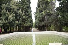 Незаконно построенные на территории Центрального ботанического сада в Баку рестораны и авторемонтные мастерские снесены (ФОТО)