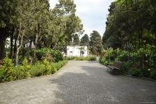 Незаконно построенные на территории Центрального ботанического сада в Баку рестораны и авторемонтные мастерские снесены (ФОТО)