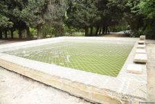 Незаконно построенные на территории Центрального ботанического сада в Баку рестораны и авторемонтные мастерские снесены (ФОТО)