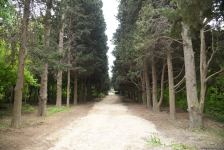 Незаконно построенные на территории Центрального ботанического сада в Баку рестораны и авторемонтные мастерские снесены (ФОТО)