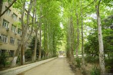 Незаконно построенные на территории Центрального ботанического сада в Баку рестораны и авторемонтные мастерские снесены (ФОТО)