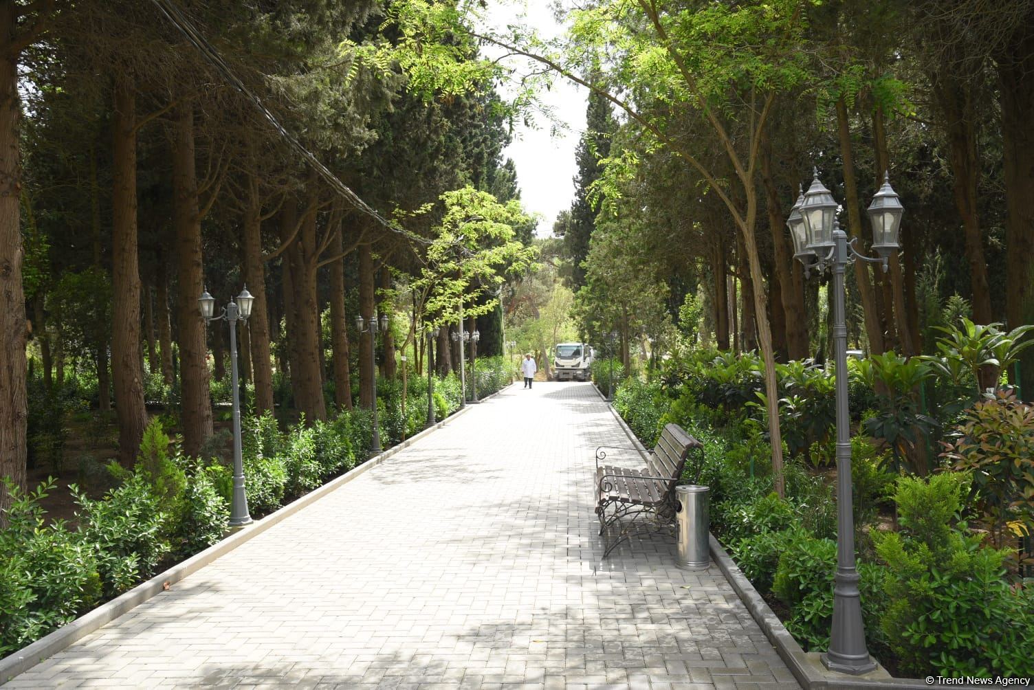 Незаконно построенные на территории Центрального ботанического сада в Баку рестораны и авторемонтные мастерские снесены (ФОТО)