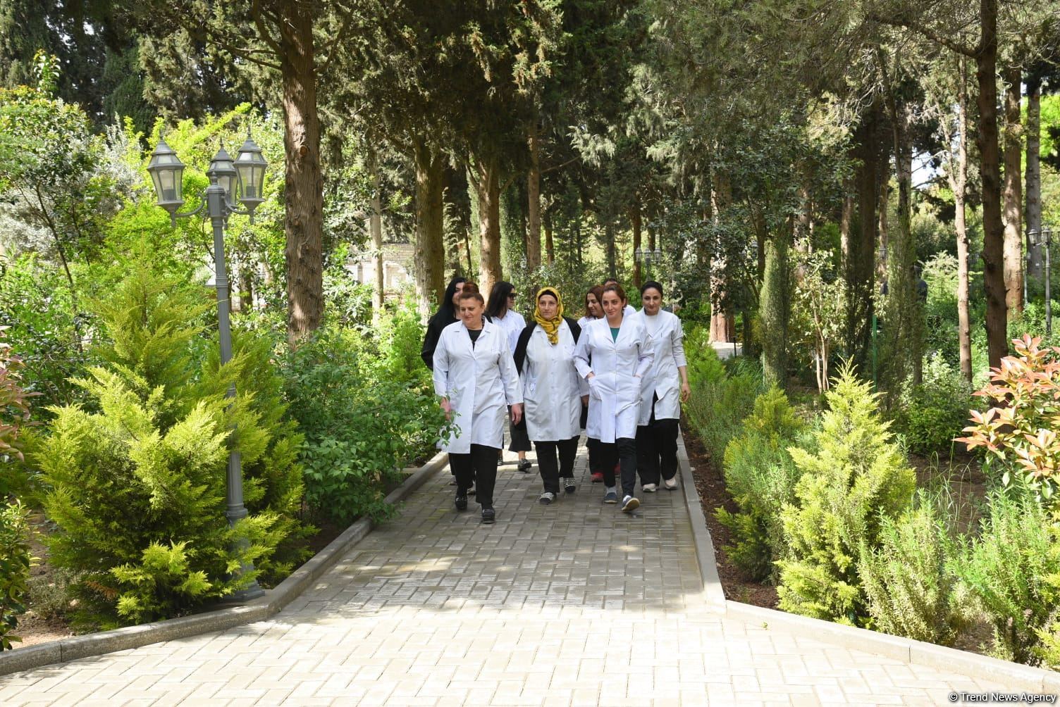 Незаконно построенные на территории Центрального ботанического сада в Баку рестораны и авторемонтные мастерские снесены (ФОТО)