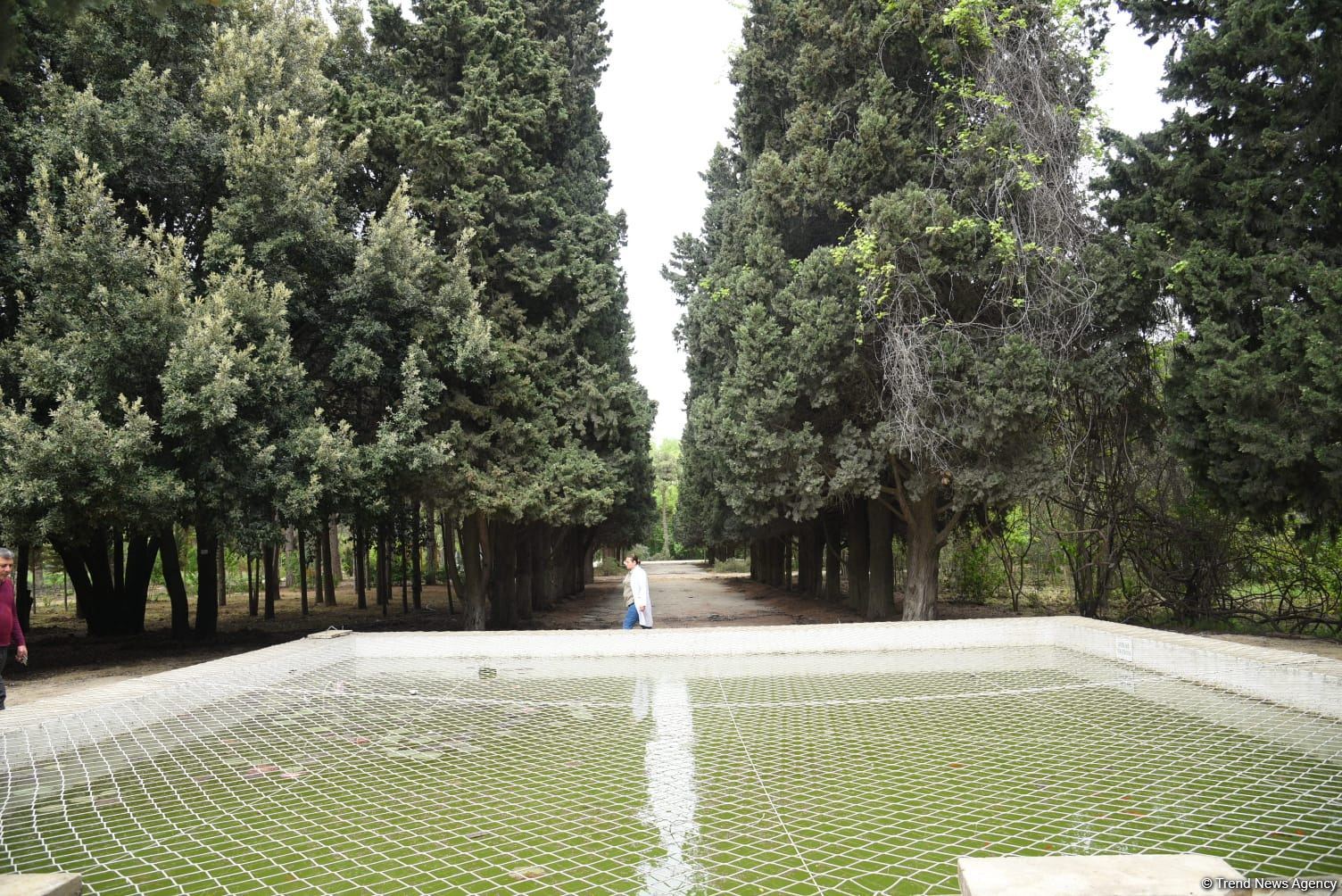 Незаконно построенные на территории Центрального ботанического сада в Баку рестораны и авторемонтные мастерские снесены (ФОТО)