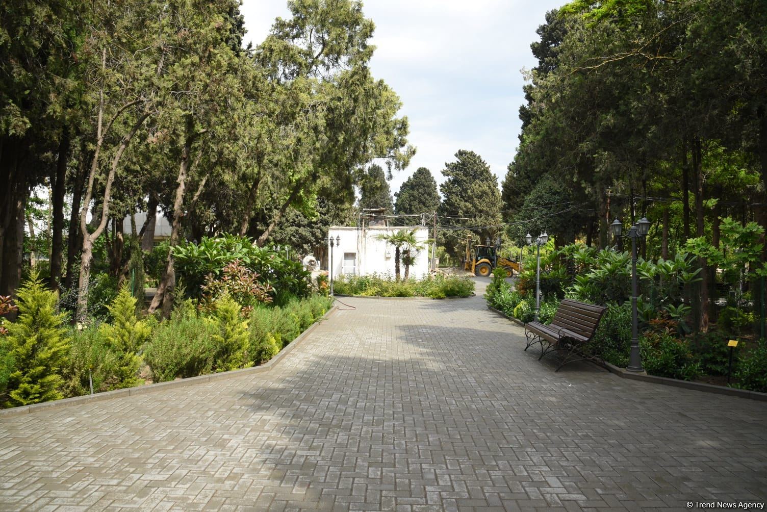 Незаконно построенные на территории Центрального ботанического сада в Баку рестораны и авторемонтные мастерские снесены (ФОТО)