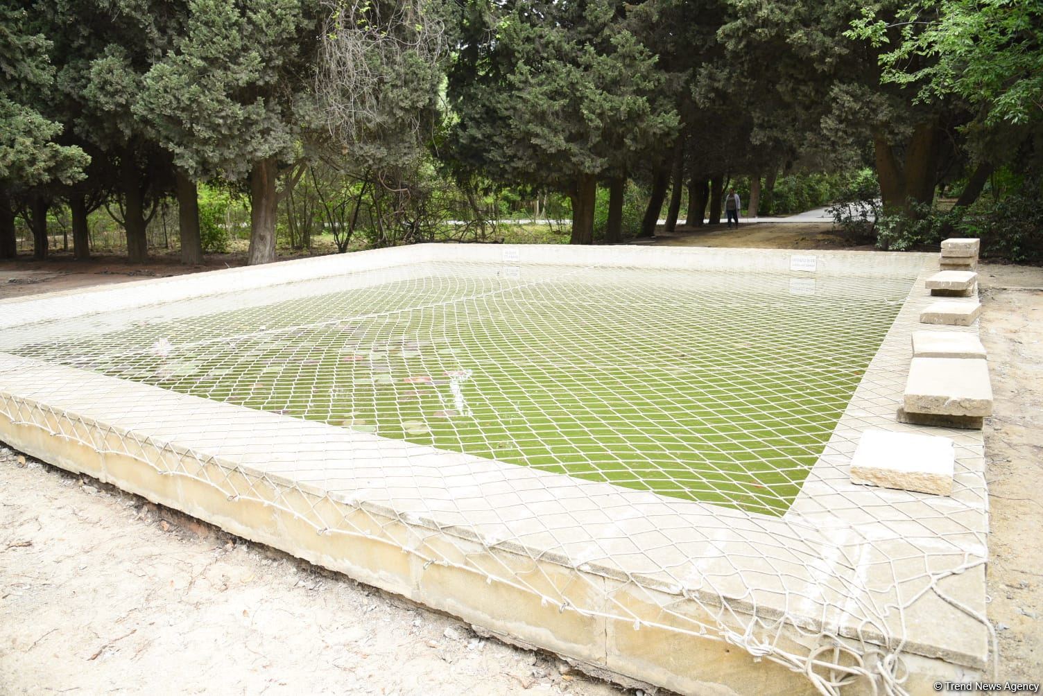 Незаконно построенные на территории Центрального ботанического сада в Баку рестораны и авторемонтные мастерские снесены (ФОТО)