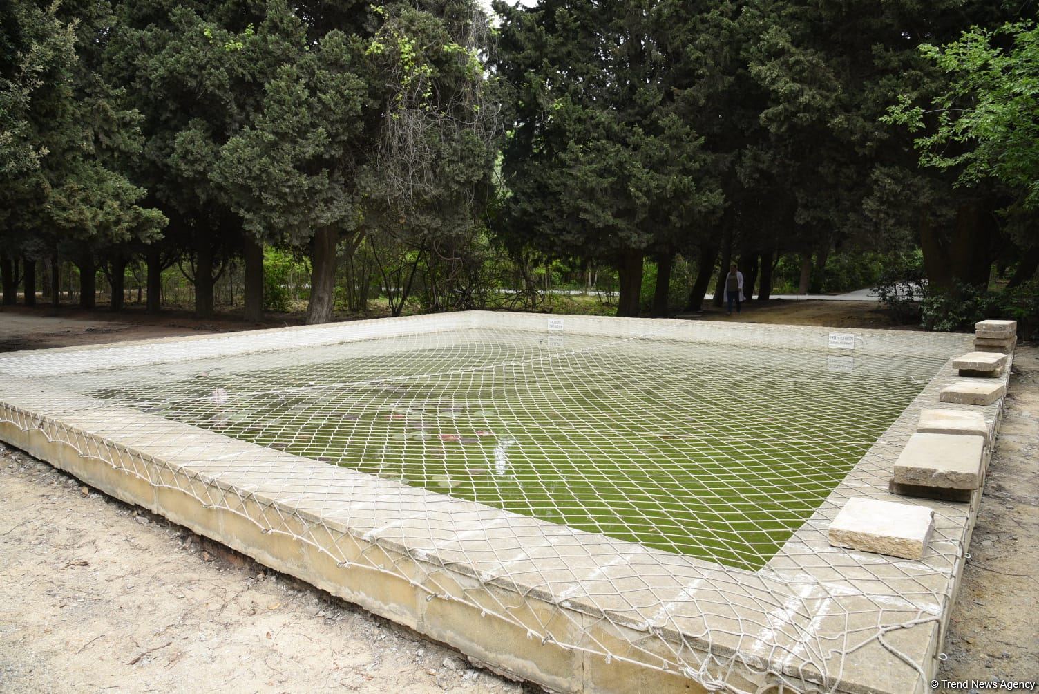 Незаконно построенные на территории Центрального ботанического сада в Баку рестораны и авторемонтные мастерские снесены (ФОТО)