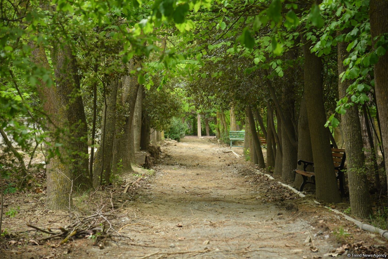 Незаконно построенные на территории Центрального ботанического сада в Баку рестораны и авторемонтные мастерские снесены (ФОТО)