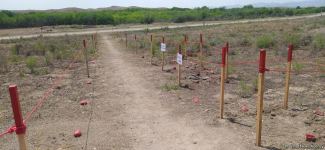 Продолжается визит основателя организации "Корни мира" Хайди Кун на освобожденные 
территории Азербайджана (ФОТО)