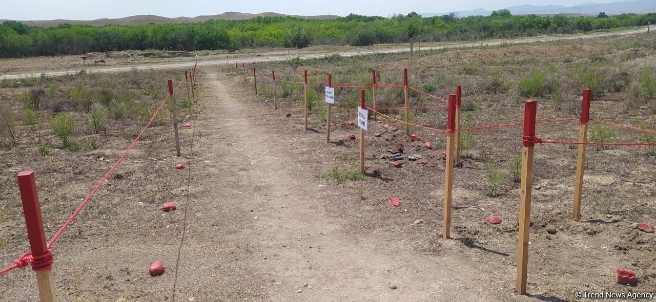 Продолжается визит основателя организации "Корни мира" Хайди Кун на освобожденные 
территории Азербайджана (ФОТО)