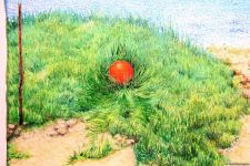 Красный шар - это Я! Миру необходимо дарить позитив – открылась выставка Севиндж Абидовой   (ФОТО)