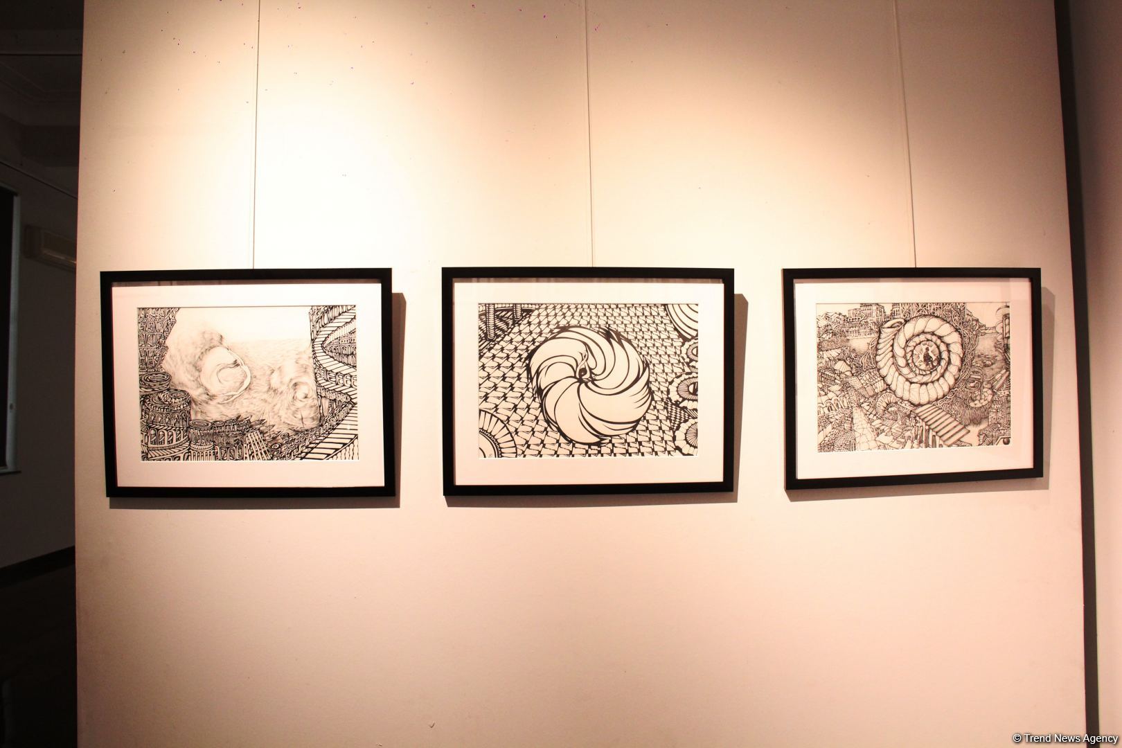 Красный шар - это Я! Миру необходимо дарить позитив – открылась выставка Севиндж Абидовой   (ФОТО)