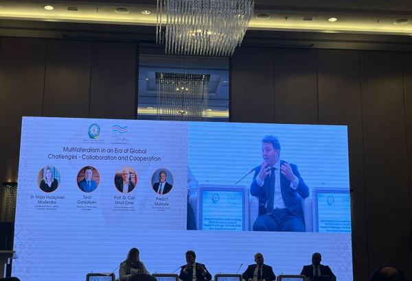 Международные организации должны оказать поддержку нашему региональному сотрудничеству - Турал Гянджалиев