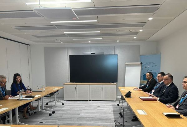 Делегация Азербайджана встретилась с Миссией Глобального фонда