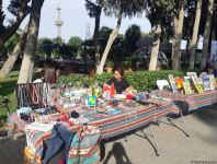 Азербайджанская ассоциация аутизма организовала в Баку праздник для детей (ФОТО)