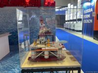 Начала работу Бакинская энергетическая неделя (ФОТОРЕПОРТАЖ)