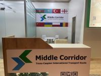 Начала работу Бакинская энергетическая неделя (ФОТОРЕПОРТАЖ)