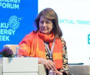 Каспийский регион стал энергетическим хабом - Парвиз Шахбазов (ФОТО)