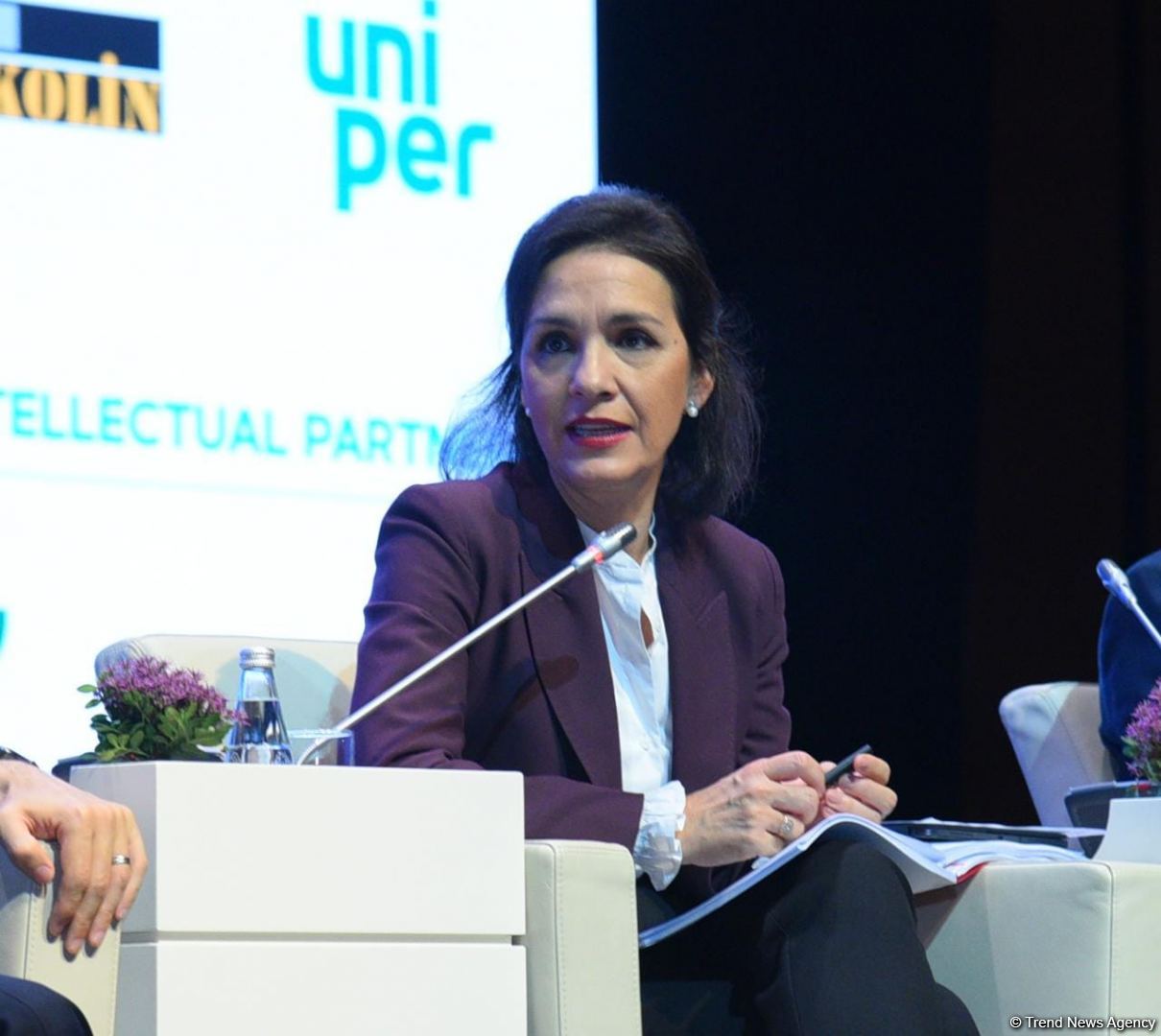 Каспийский регион стал энергетическим хабом - Парвиз Шахбазов (ФОТО)