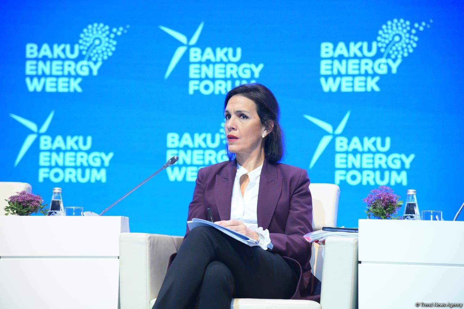 Каспийский регион стал энергетическим хабом - Парвиз Шахбазов (ФОТО)