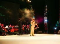 Прямой контакт с героями сказок! В Баку представлено Дисней-шоу (ФОТО/ВИДЕО)