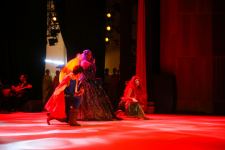 Прямой контакт с героями сказок! В Баку представлено Дисней-шоу (ФОТО/ВИДЕО)